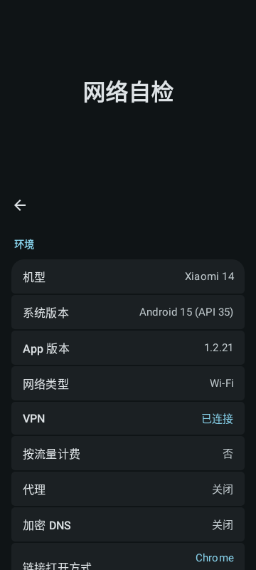 网络自检